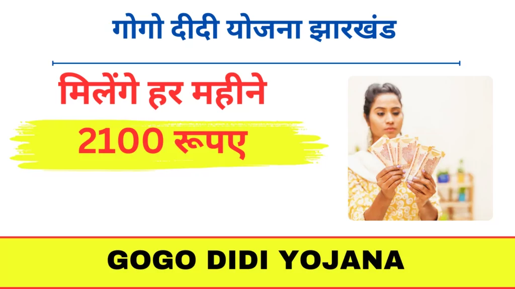 Gogo Didi Yojana Form